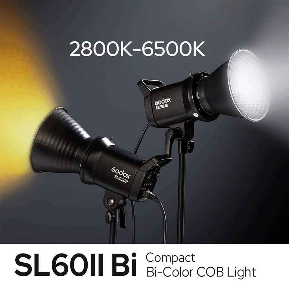 Godox SL60IID SL60IIBi 75W デイラ - Photography Lighting Description のレビューと価格