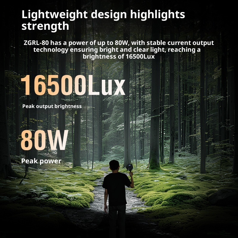 ZGRL80 80W COB LEDビデオライト ハンドヘル - Photography Lighting Handheld のレビューと価格