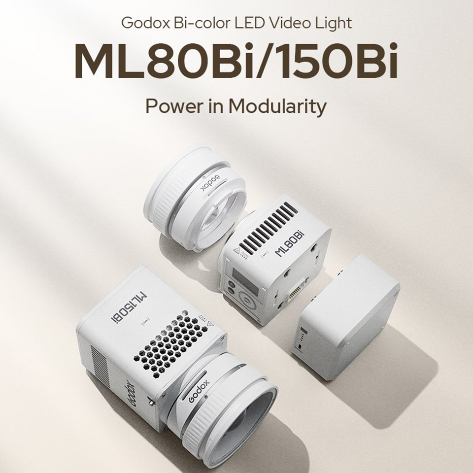 Godox ML80Bi ML150Bi 80/150W 2 - Photography Lighting Description のレビューと価格